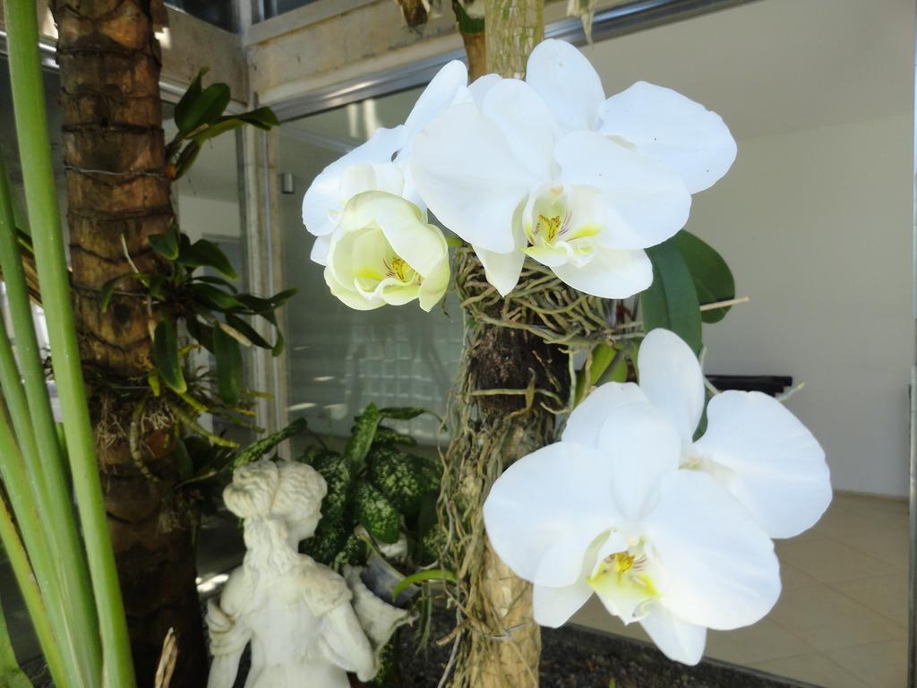 Pousada Orquideas Guarujá Exterior foto